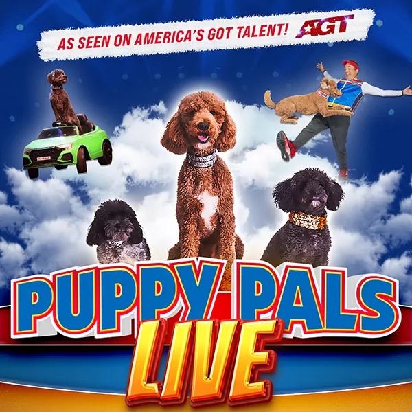 Puppy Pals Live