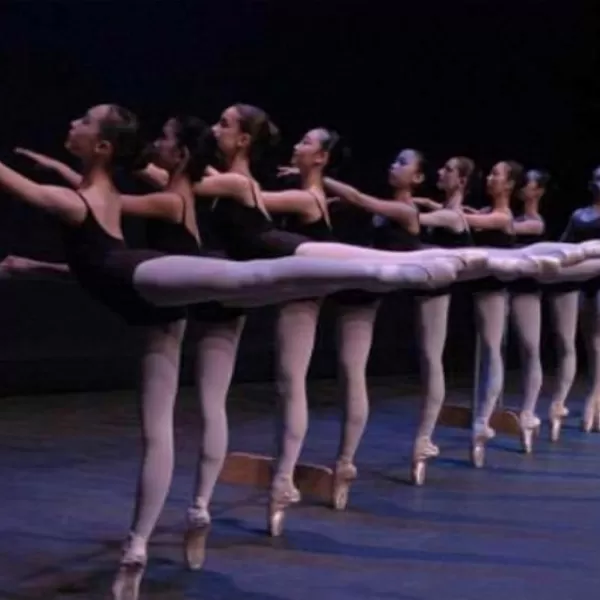 RENTAL - Palos Verdes Ballet Presents "Les Ballet Classique"