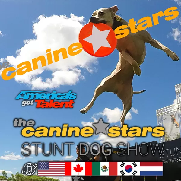 The Canine Stars Stunt Show