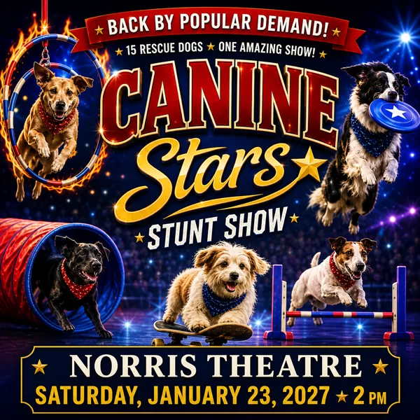 The Canine Stars Stunt Show