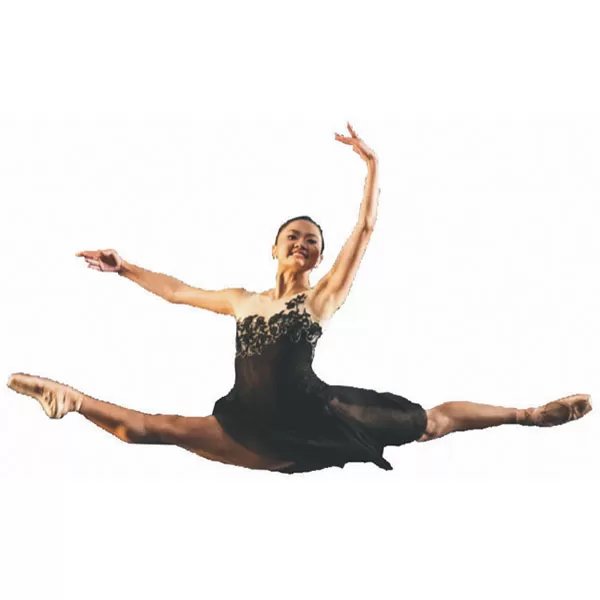 RENTAL - Palos Verdes Ballet Presents the 42nd Anniversary Production of "The Nutcracker"