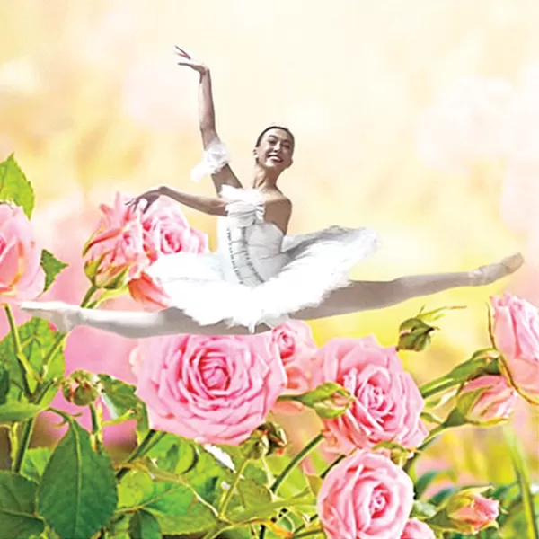 RENTAL - Palos Verdes Ballet Presents "Les Ballet Classique"